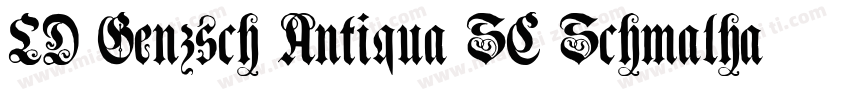 LD Genzsch Antiqua SC Schmalhalbfet字体转换